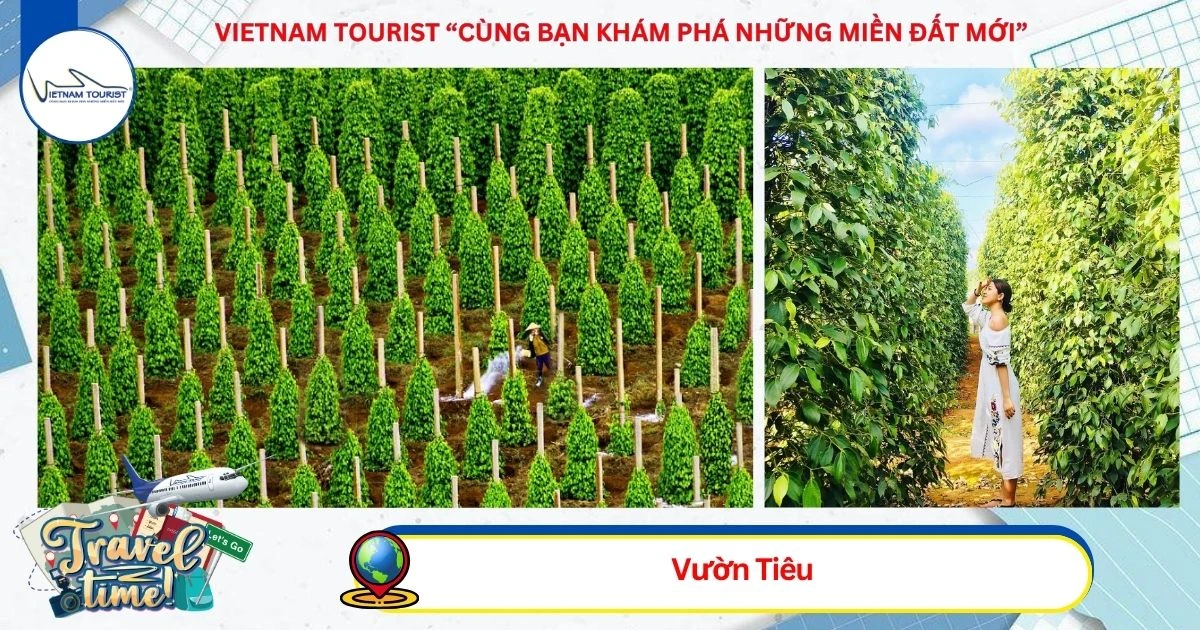 TOUR PHÚ QUỐC 3N2Đ ĐI BẰNG MÁY BAY - KHỞI HÀNH HÀNG NGÀY - VIETNAM TOURIST