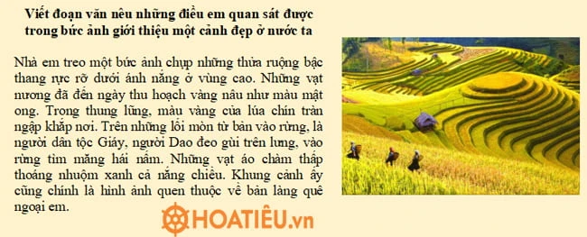 Top 7 Viết đoạn văn nêu những điều em quan sát được trong bức ảnh giới thiệu một cảnh đẹp ở nước ta