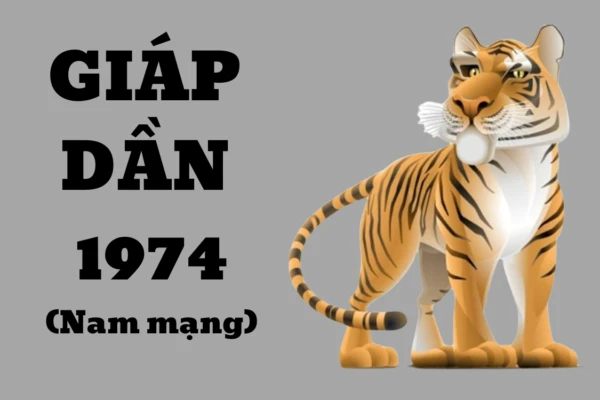 Tử vi tuổi Giáp Dần nam mạng, nữ mạng 1974 năm 2024: Nắm bắt cơ hội, gặt hái thành công