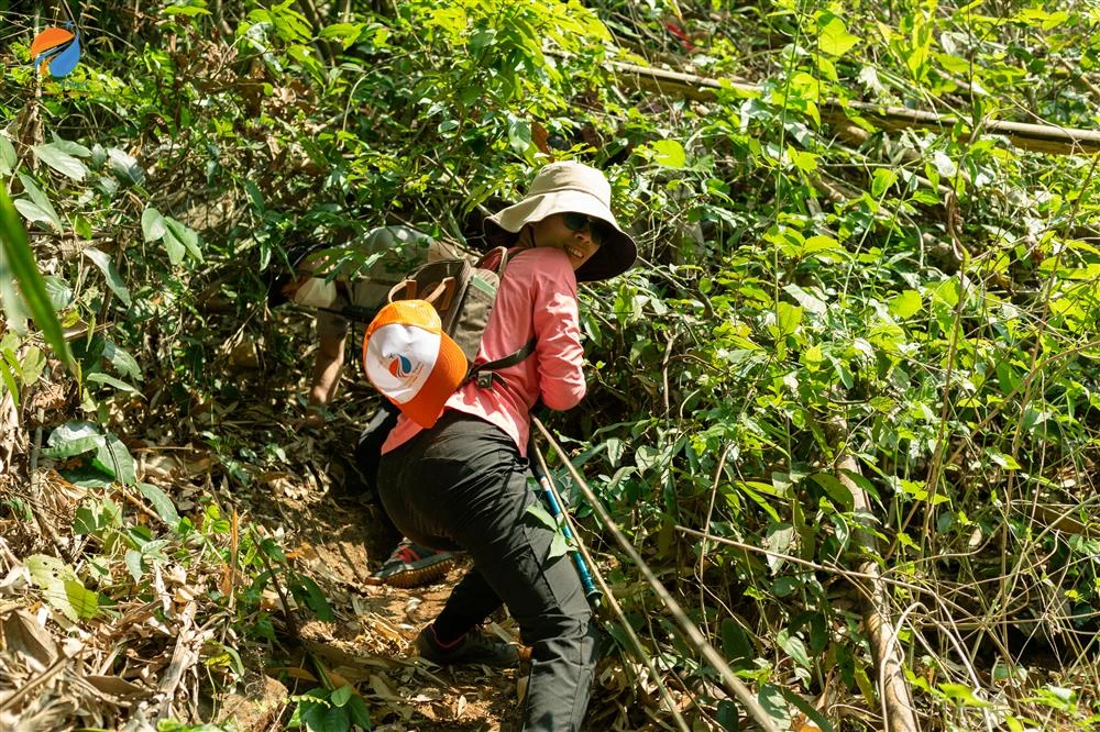 Du lịch là gì? Tổng hợp các loại hình du lịch phổ biến nhất hiện nay