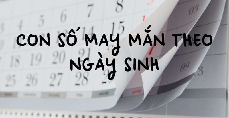 con-so-may-man-theo-ngay-sinh-1735098543.jpg